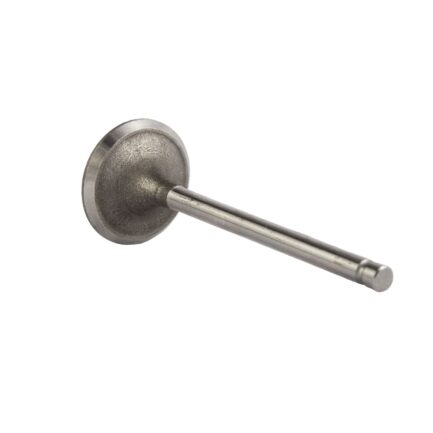 VALVULA DE ESCAPE GEMA C60 - A498BPG