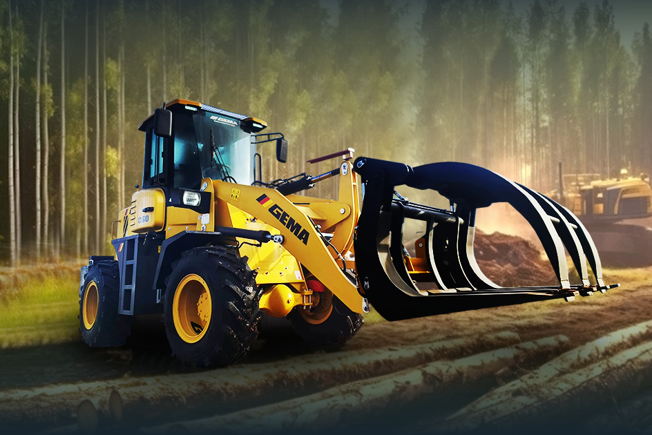 Linea Forestal