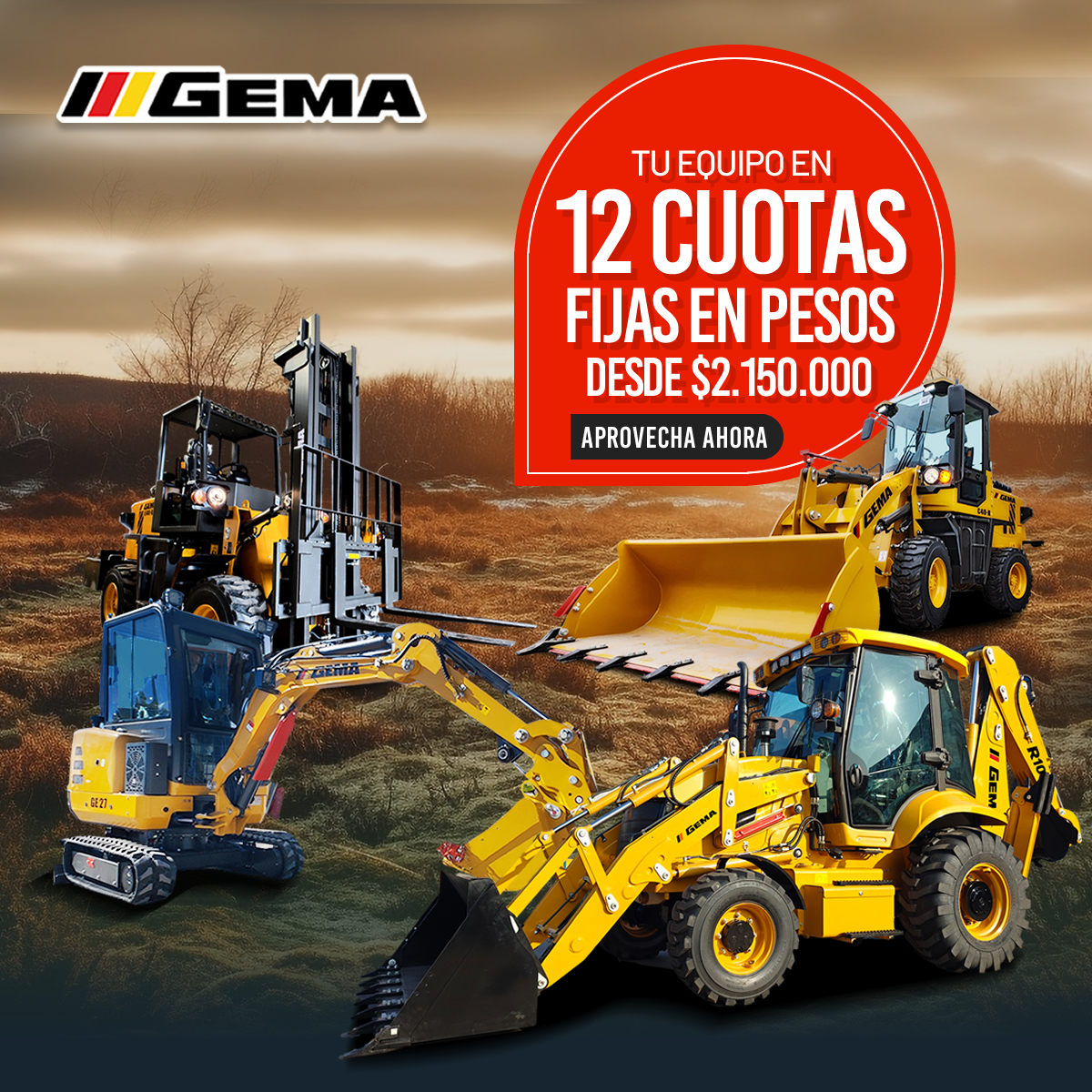 12 cuotas fijas